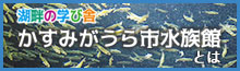 かすみがうら市水族館