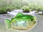 第17回三条クラフトフェア