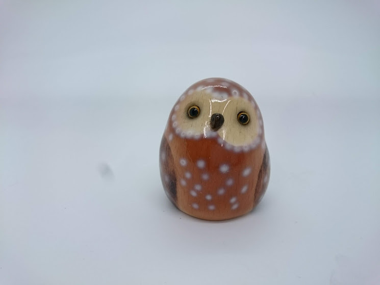 フクロウ、ミミズク