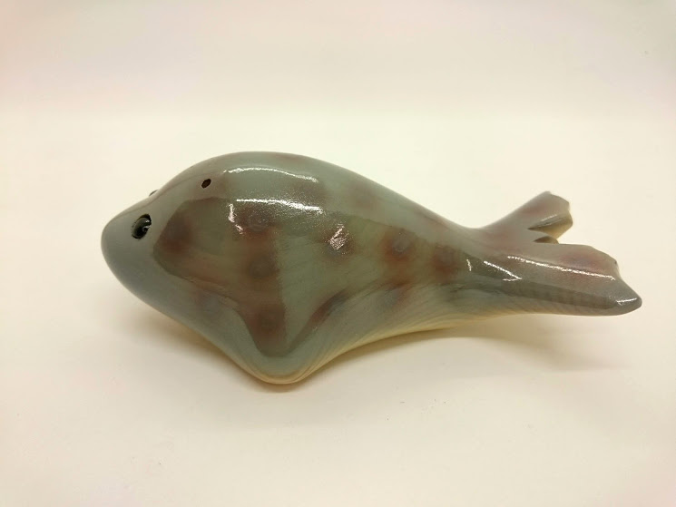 アシカ・アザラシ